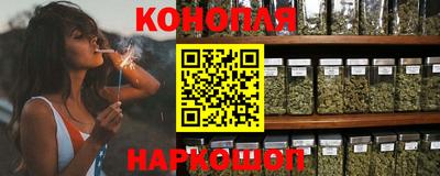гидра Нальчик